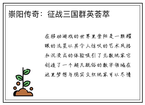 崇阳传奇：征战三国群英荟萃