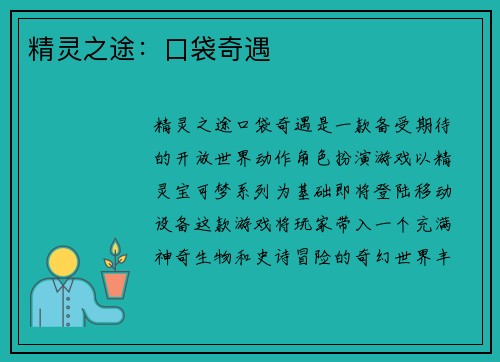 精灵之途:口袋奇遇